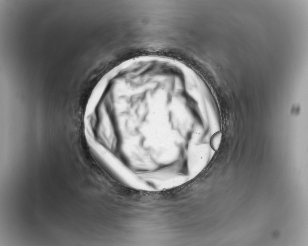 X0000101961349200808151306