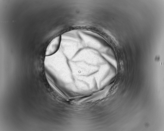 X0000101961350200808151306
