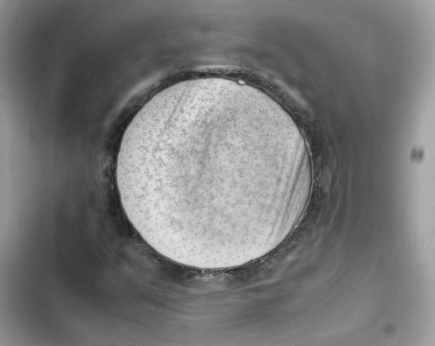 X0000101961351200808151305