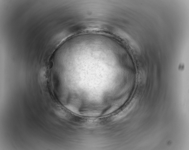 X0000101961353200808151305