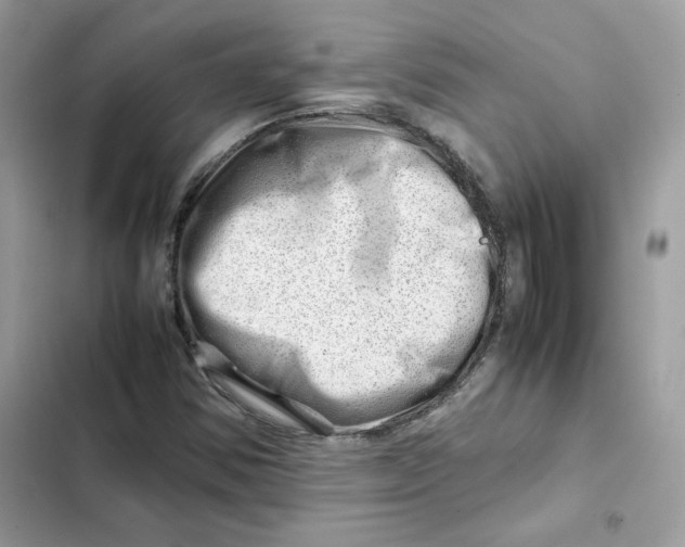 X0000101961354200808151305