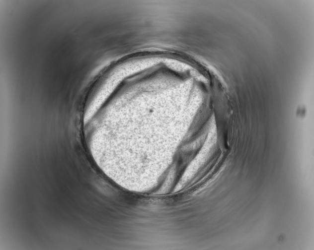 X0000101961355200808151305