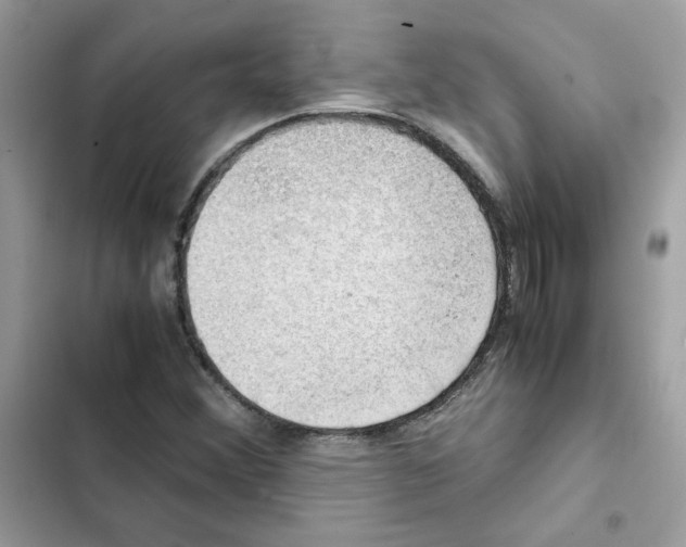 X0000101961356200808151305