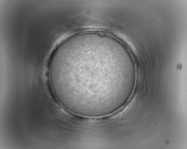 X0000101961357200808151305