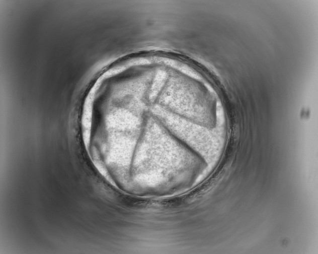 X0000101961359200808151305
