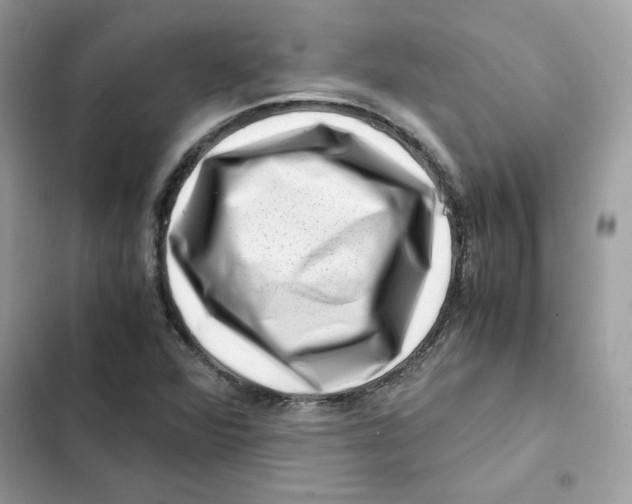 X0000101961360200808151305