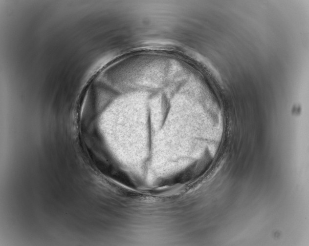 X0000101961362200808151305