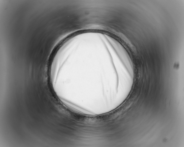 X0000101961364200808151305