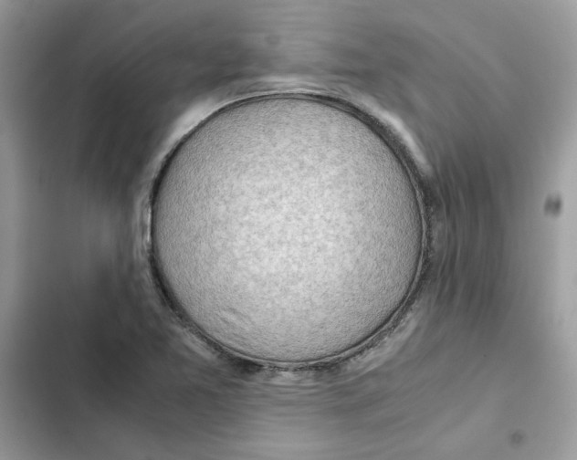 X0000101961365200808151305