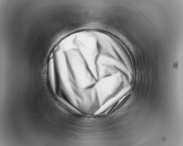 X0000101961366200808151305