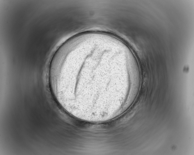 X0000101961367200808151305
