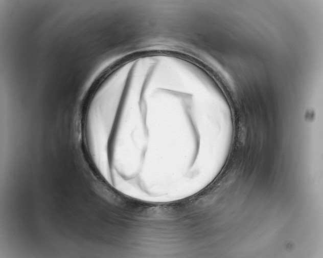 X0000101961368200808151305