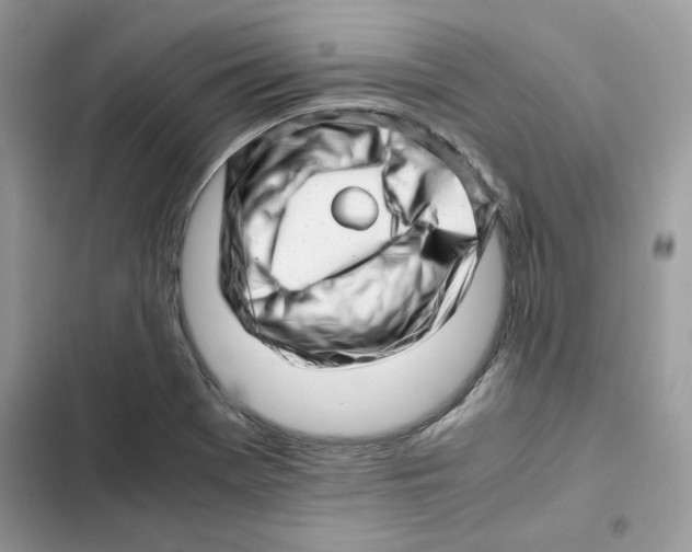X0000101961369200808151305
