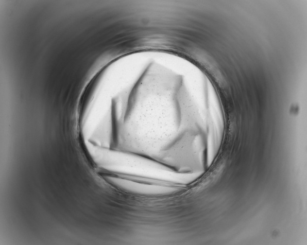 X0000101961370200808151305