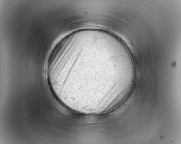 X0000101961371200808151305