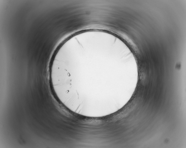 X0000101961372200808151305
