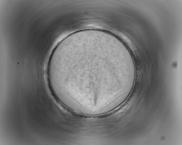 X0000101961373200808151305