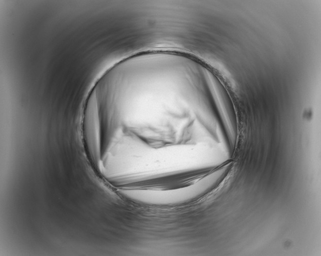 X0000101961374200808151305