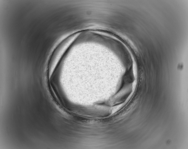 X0000101961375200808151305