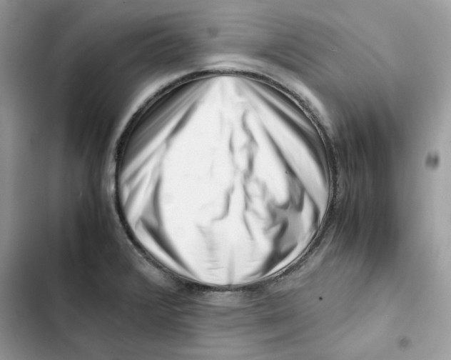 X0000101961376200808151305