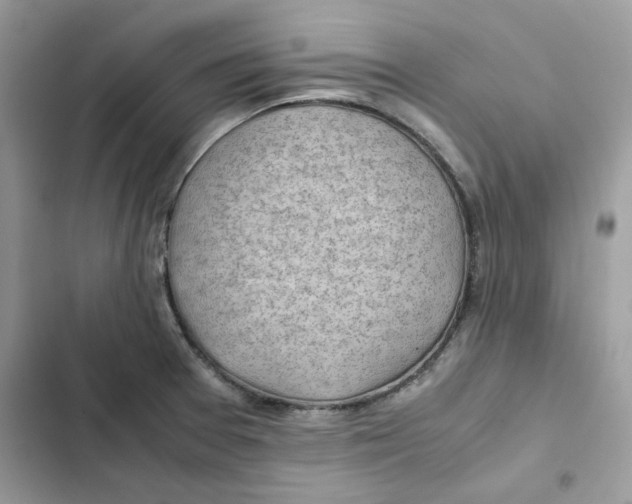 X0000101961377200808151305