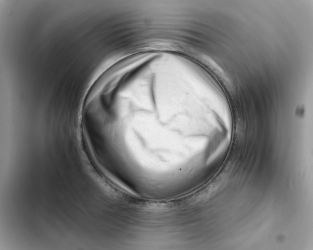 X0000101961378200808151305