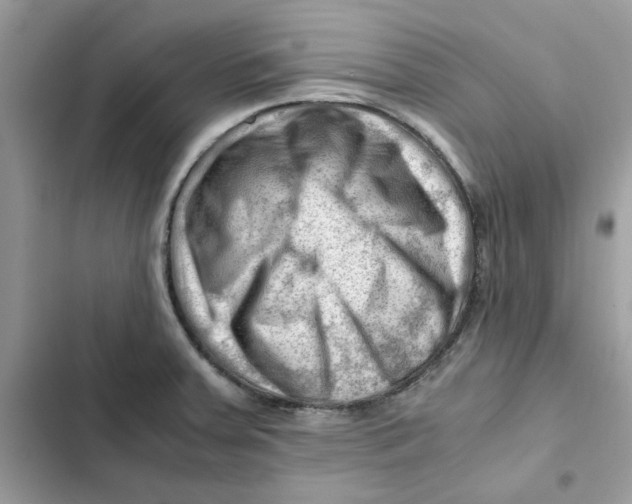 X0000101961379200808151305