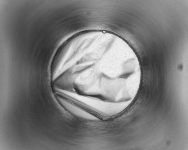 X0000101961380200808151305