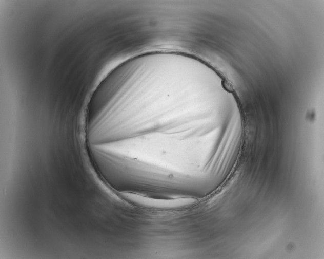 X0000101961382200808151305