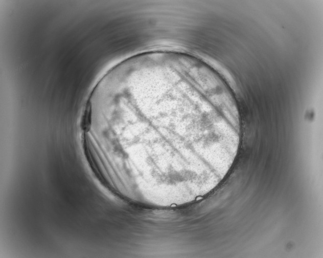 X0000101961383200808151305