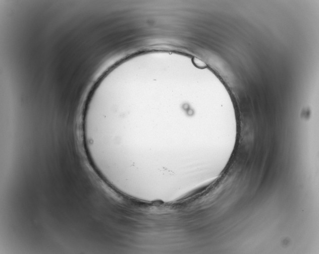 X0000101961384200808151305