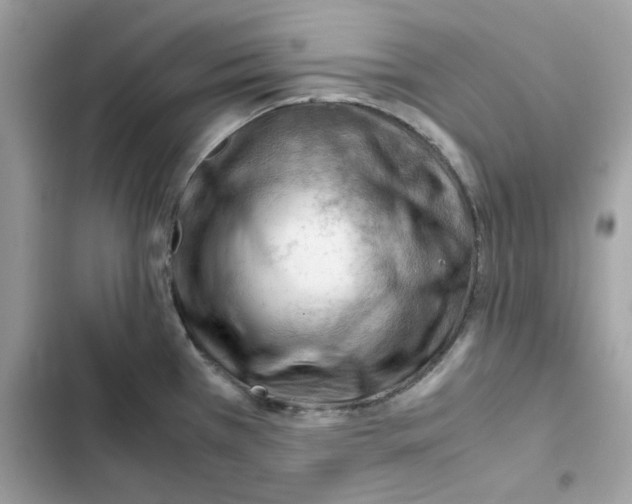 X0000101961385200808151305
