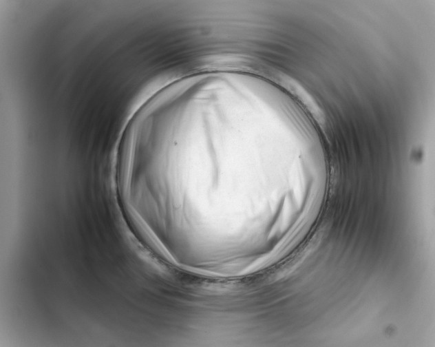 X0000101961386200808151305