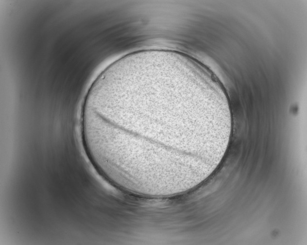 X0000101961387200808151305