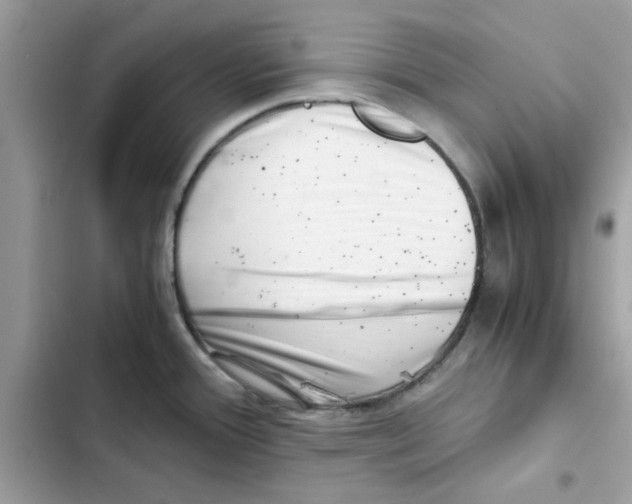 X0000101961388200808151305