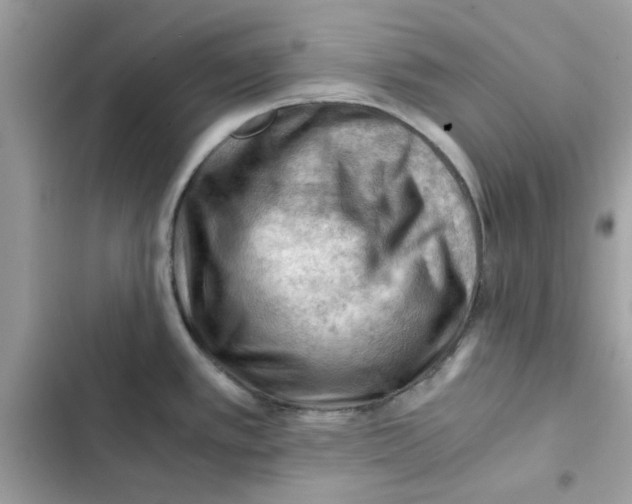 X0000101961389200808151305