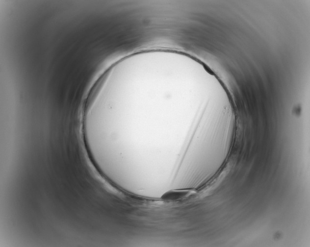 X0000101961390200808151305