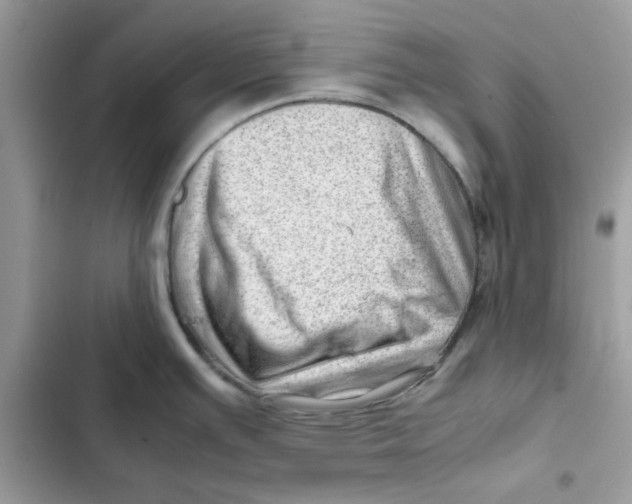 X0000101961391200808151305