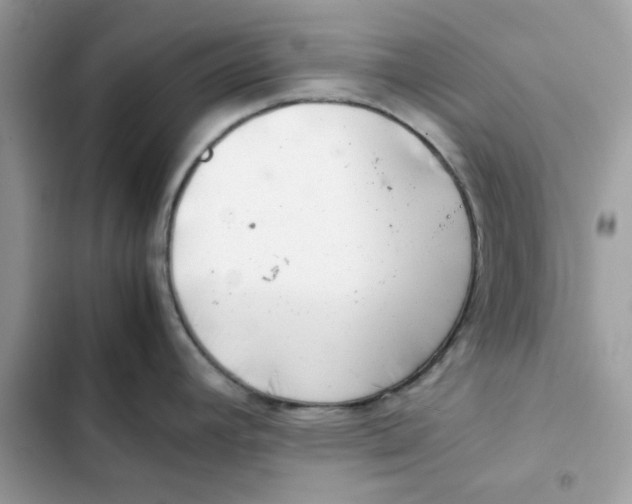 X0000101961392200808151305