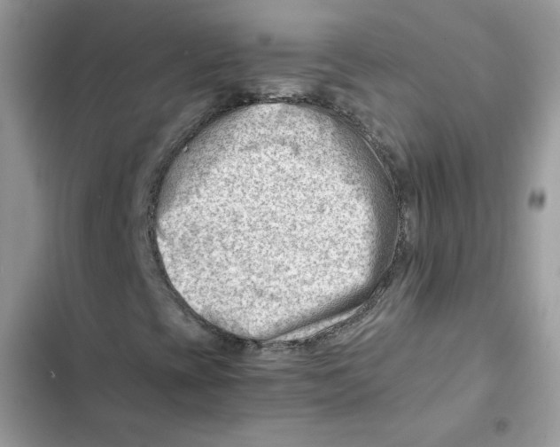 X0000101961393200808151304