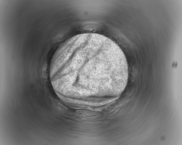 X0000101961394200808151304