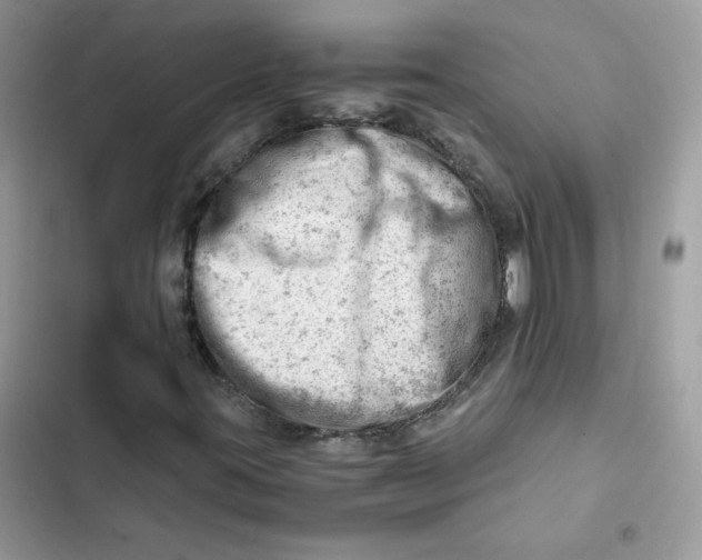 X0000101961395200808151304