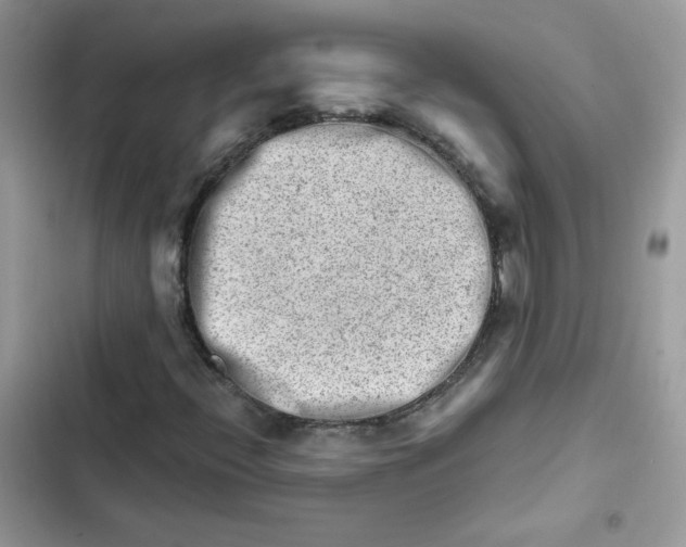 X0000101961396200808151304