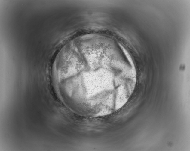 X0000101961397200808151304
