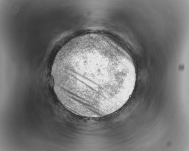X0000101961398200808151304