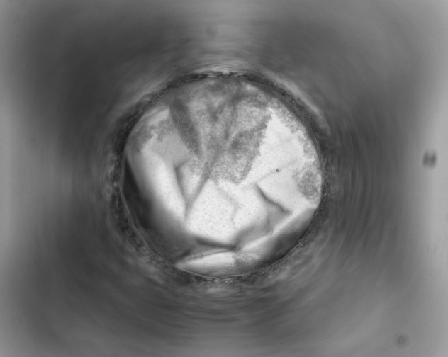 X0000101961399200808151304