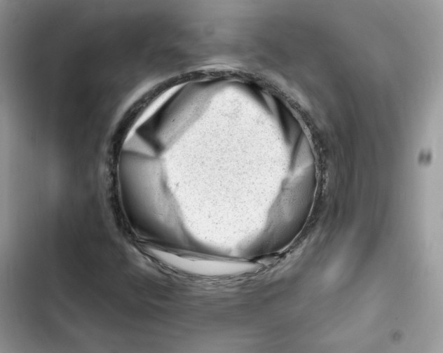X0000101961400200808151304