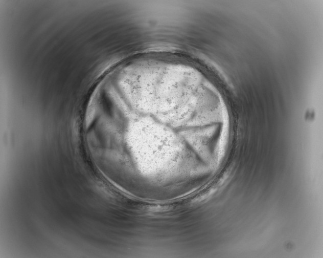 X0000101961401200808151304