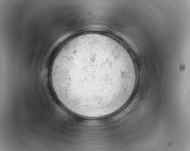 X0000101961402200808151304