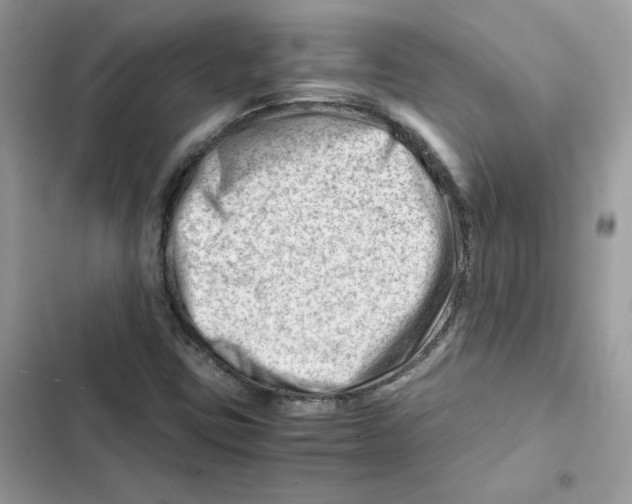 X0000101961403200808151304